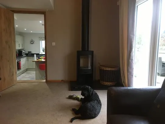 Living room with log burner and black labrador resting in front of it.